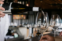 Chardonnay white wine being poured into glass at Mitolo McLaren Vale Cellar Door