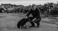 Winery dog greets Frank Mitolo in the McLaren Vale vineyards