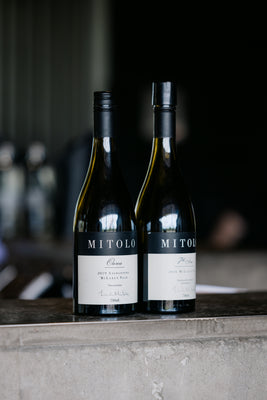 Mitolo Wines Ourea Sagrantino and 7th Son Grenache Shiraz Sagrantino bottles in the McLaren Vale Cellar Door